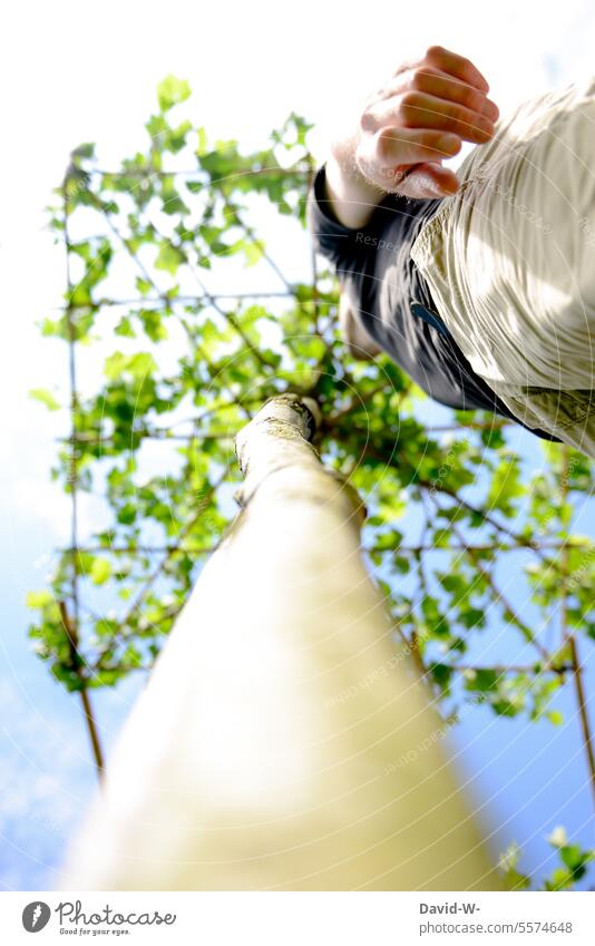 Natürlicher Schattenstpender - Mann im Sommer unter einer Dachplatane schattenspender hitze natürlich Baum Sonnenlicht Natur Terasse Hitze Sonnenschirm Wachstum