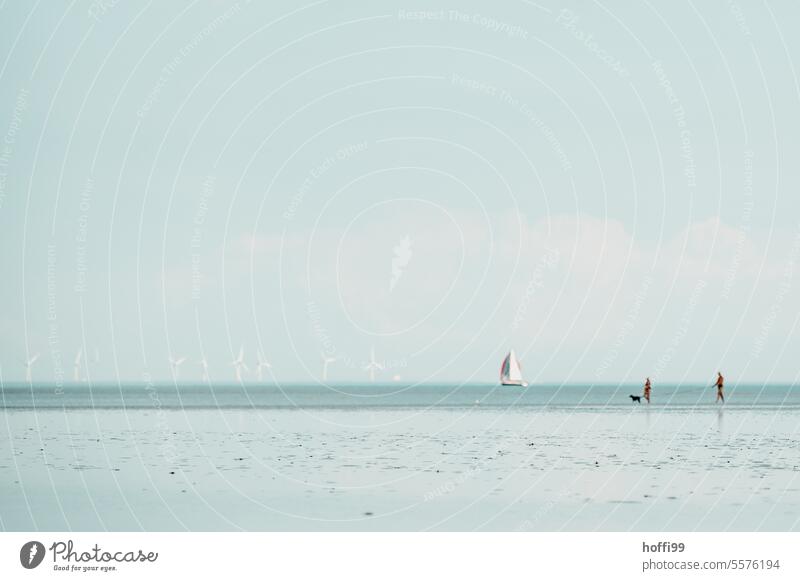 Panorama in Blau im Wattenmeer mit Windrad, Segelboot, Hund und Pärchen Windpark pärchen Gassi gehen ebbe und flut Wattwandern Gezeiten Küste Nordsee Ebbe Meer