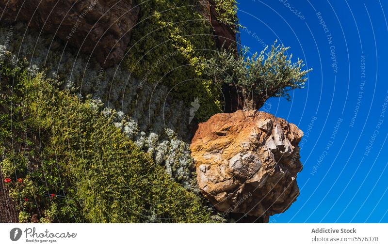 Vertikaler Garten unter blauem Himmel Felsen Formation Textur Vegetation Natur Landschaft Grün Kontrast Stein Geologie im Freien natürlich Umwelt Szene