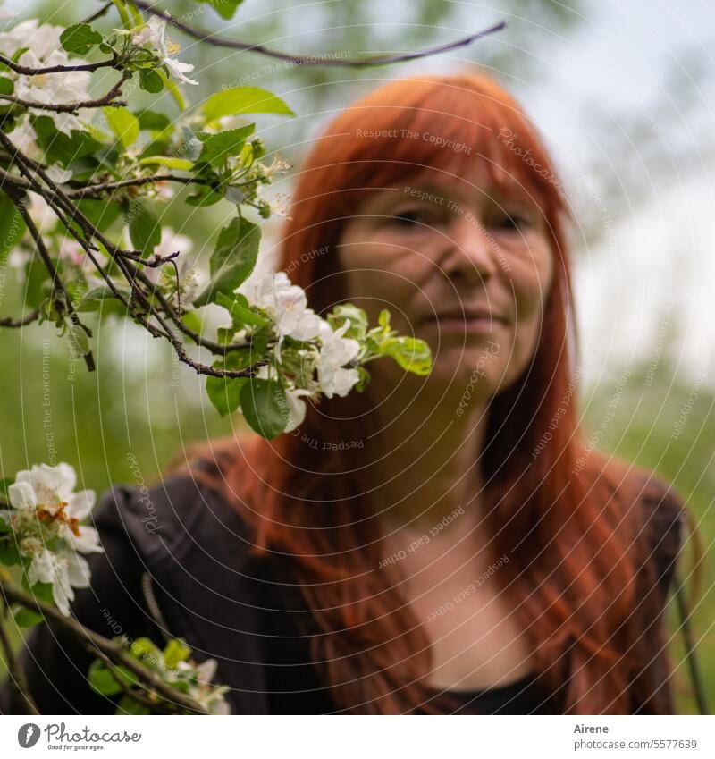 im Einklang mit der Natur Morgen Hoffnung zart blühende Zweige hoffnungsvoll intensiv Äste Landschaft Morgenstimmung Baum riechen feurig Streuobstwiese genießen