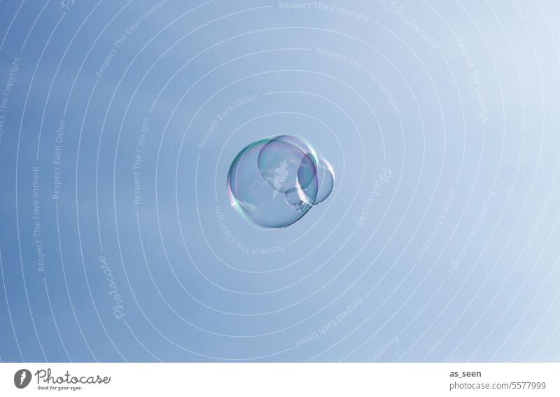 Seifenblasen im Licht Himmel fliegen leicht Wind Luft Elemente Leichtigkeit glänzend schillernd rund durchsichtig Reflexion & Spiegelung Kugel Blase