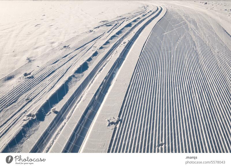 Loipe Schnee kalt Sport Winter Wintersport Skilanglauf Skifahren Landschaft Erholung Sonnenlicht Wege & Pfade Schönes Wetter Ferien & Urlaub & Reisen Skipiste