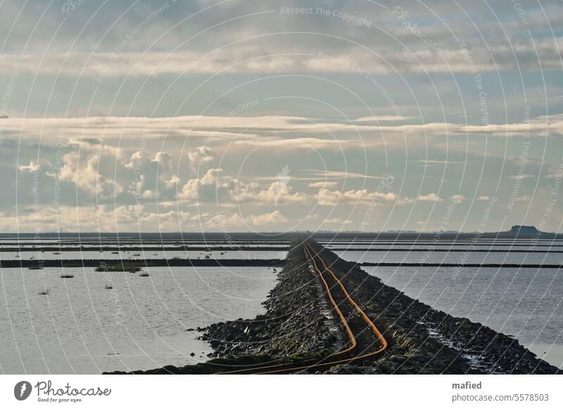 Schienen der Lorenbahn nach Nordstrandischmoor Deich Watt Himmel Natur Landschaft Nordsee Küstenschutz Naturschutzgebiet blau grau schwarz Hallig Damm Warft