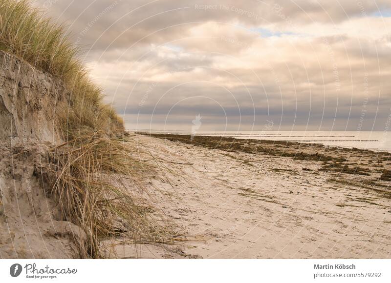 am Strand mit Düne an der Ostsee. Bewölkter Himmel. Wellen treffen auf Sand. Landschaft MEER Meer Dünengras winken Wasser wolkig Auszeit sonnig Horizont