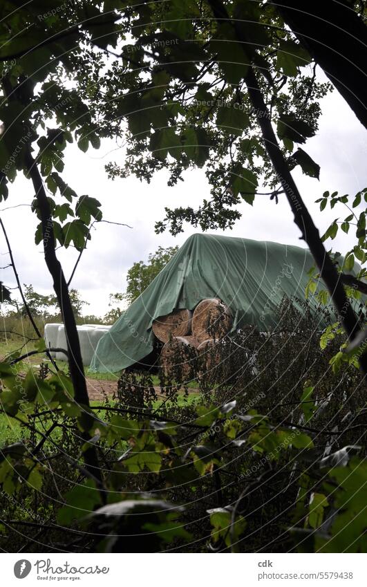 hilfreich | als Wintervorrat | gestapelte Heuballen werden unter einer Plane auf einem Feld gelagert. Landwirtschaft landwirtschaftlich genutzt Außenaufnahme