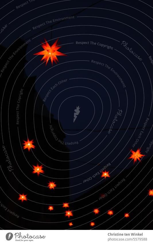 rote Sterne leuchten in der Dunkelheit Weihnachtsmarkt Weihnachtsbeleuchtung Lichterglanz Stern (Symbol) Fassade Lichterschein Beleuchtung Weihnachten & Advent