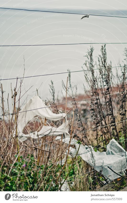 Portobello IV Umwelt Natur Herbst Winter schlechtes Wetter Edinburgh Schottland Großbritannien trashig trist Tod schuldig Müll Zaun Strand dreckig