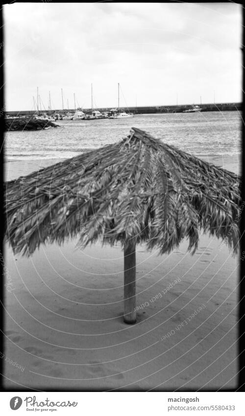 Sonnenschutz am Strand auf Madeira Schwarzweißfoto Traurigkeit Vergänglichkeit analog analoge fotografie schwarzweiß Schwarzweißfotografie Außenaufnahme