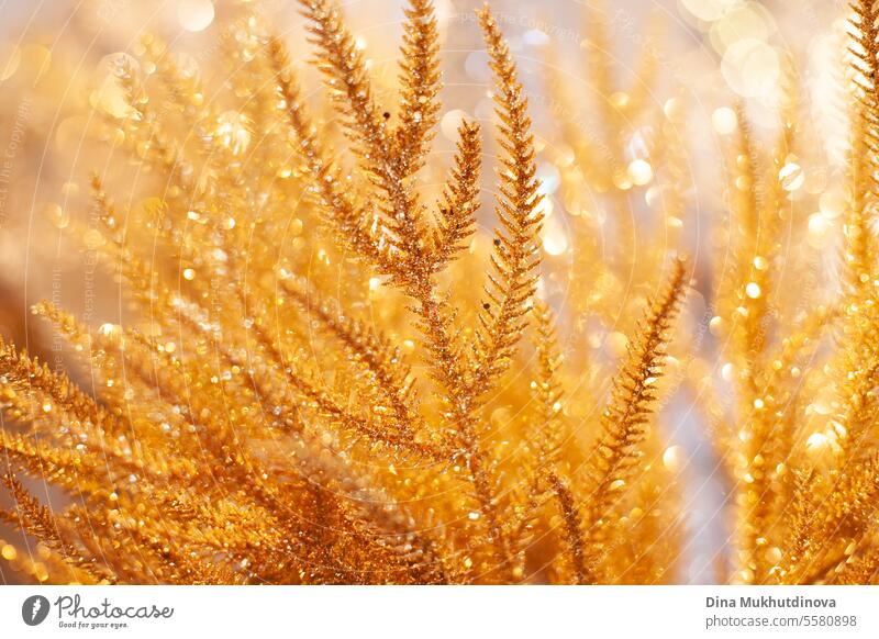 goldenen Zweig als Weihnachtsdekoration mit Bokeh als festliche Ferienzeit Hintergrund Weihnachten Saison Ast Weihnachten & Advent Dekoration & Verzierung