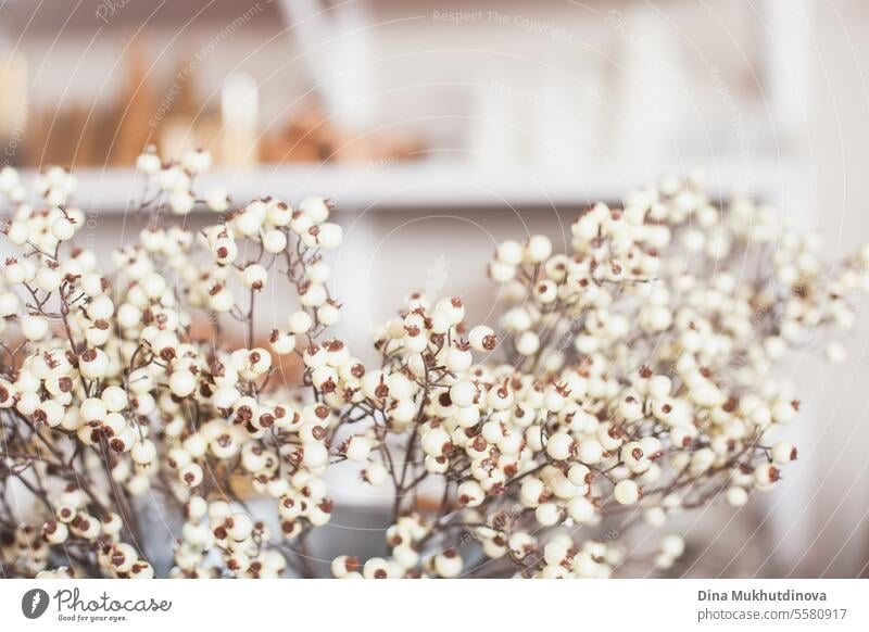 Weiße Beeren Bouquet Nahaufnahme Weihnachtsdekoration. Ferienzeit festlichen minimalen Hintergrund. Blumenstrauß Winter gefroren Weihnachten Saison Feier