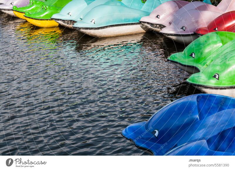 Bunte Delphine Plastik Kopf bootfahren Boote Bootsfahrt Ferien & Urlaub & Reisen See bunt Bootsverleih Kunststoff Tretboot Anlegestelle angekettet