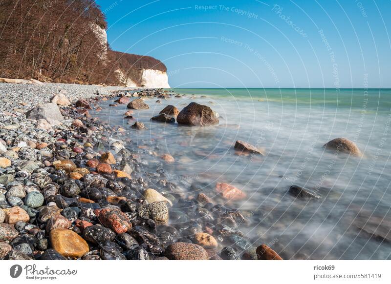 Kreidefelsen an der Küste der Ostsee auf der Insel Rügen Ostseeküste Meer Steilküste Findling Stein Felsen Mecklenburg-Vorpommern Stubbenkammer Sassnitz Jasmund