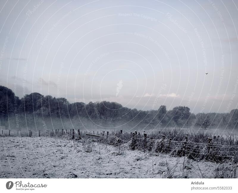 Neblige Winterlandschaft am Morgen Landschaft Weide Nebel Wald Bäume Zaun Schnee Frost Wiese Gräser Zaunpfahl kalt Winterstimmung Natur Kälte Wetter gefroren