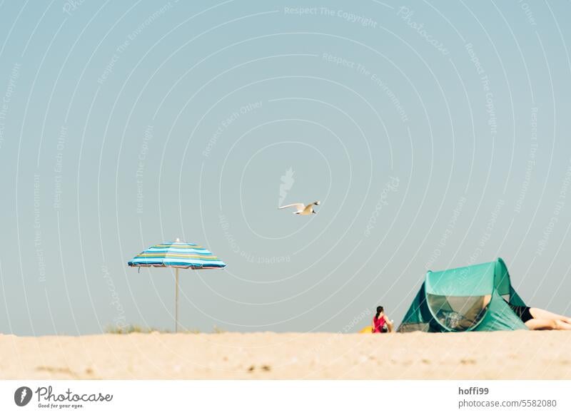 ruhige Strandszene in der Hitze des Sommers mit Sonnenschirm, Zelt und Möwe - ein Tag am Meer Windstille erwärmen Ferien & Urlaub & Reisen Sommerurlaub Sand