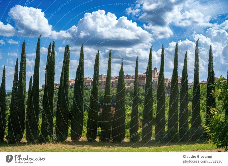 Blick auf Fornole, historische Stadt in Umbrien, Italien Amelia Europa Juli Terni Teverina-Tal Großstadt Farbe Land Zypresse Tag grün Hügel Landschaft Natur