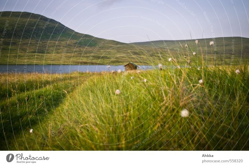 weiße Wolltupfen Natur Landschaft Pflanze Gras Wiese Berge u. Gebirge See Hütte Stimmung Romantik Sehnsucht Duft Einsamkeit Erholung Ewigkeit Farbe Gefühle