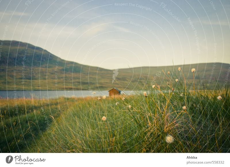 See mit Hütte hinter Wollgras Natur Landschaft Pflanze Gras Wildpflanze Berge u. Gebirge grün Stimmung Zufriedenheit Einsamkeit Ende Erholung erleben