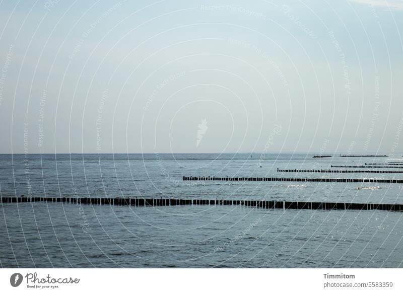 Vor oder nach dem Sturm Ostsee Meer Wasser ruhig still Buhnen Ferien & Urlaub & Reisen Ostseeküste Farbfoto Menschenleer Himmel blau Horizont Licht