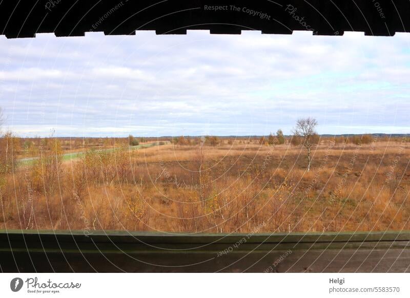 Herbstzeit | Blick aufs herbstliche Moor Moorlandschaft Landschaft Ausblick Natur natürlich Himmel Sumpf Menschenleer Umwelt ruhig Außenaufnahme Baum Farbfoto