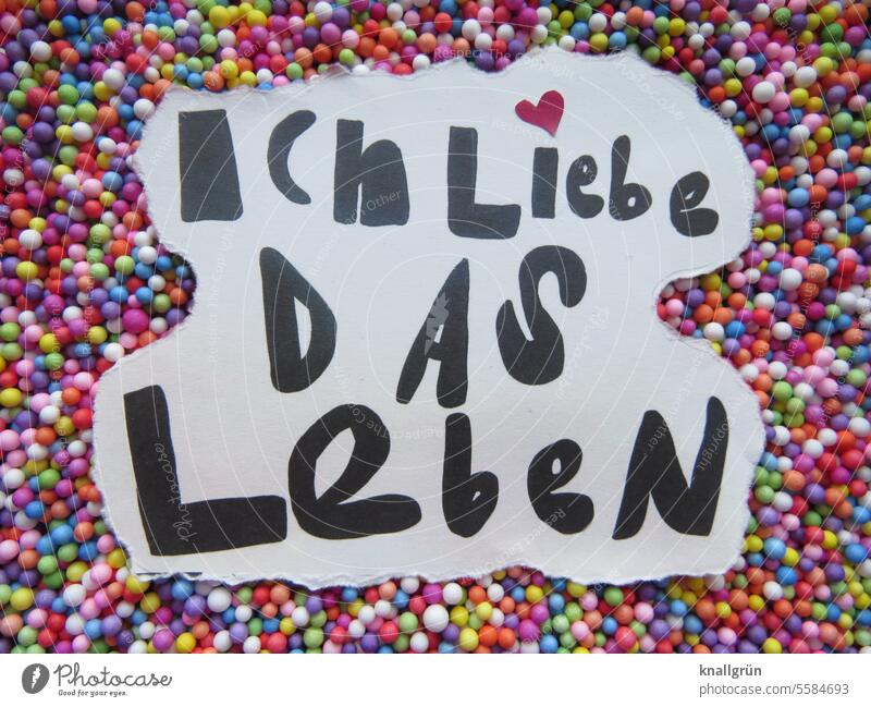 Ich liebe das Leben Liebe bunt Herz Farbfoto Gefühle Symbole & Metaphern Liebesbekundung Liebeserklärung Glück Euphorie positiv Freude Buchstaben Wort Satz