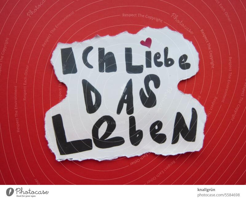 Ich liebe das Leben Liebe Freude Glück Fröhlichkeit Lebensfreude Gefühle Stimmung Farbfoto Zufriedenheit lebensbejahend positiv Herz Symbole & Metaphern