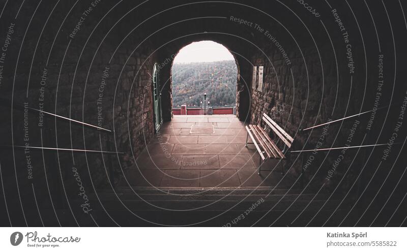 Die Bank am Ausgang Tor tor zur welt Sitzbank Eingang Durchgang Gebäude Wand Außenaufnahme Treppe Wald Parkbank weiches Licht