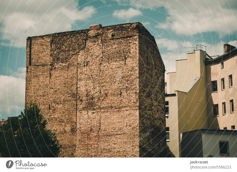 Brandmauer mit unverputzten Ziegelsteinen Fassade Architektur Strukturen & Formen Zahn der Zeit verwittert Wolken Himmel Vergangenheit Wandel & Veränderung Baum