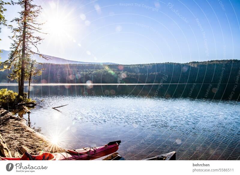 still ruht der see Nordamerika Wasser Pflanze Natur See Kanada Boot Clearwater Lake Wald Ferne Landschaft Fernweh Bergsee British Columbia Abenteuer