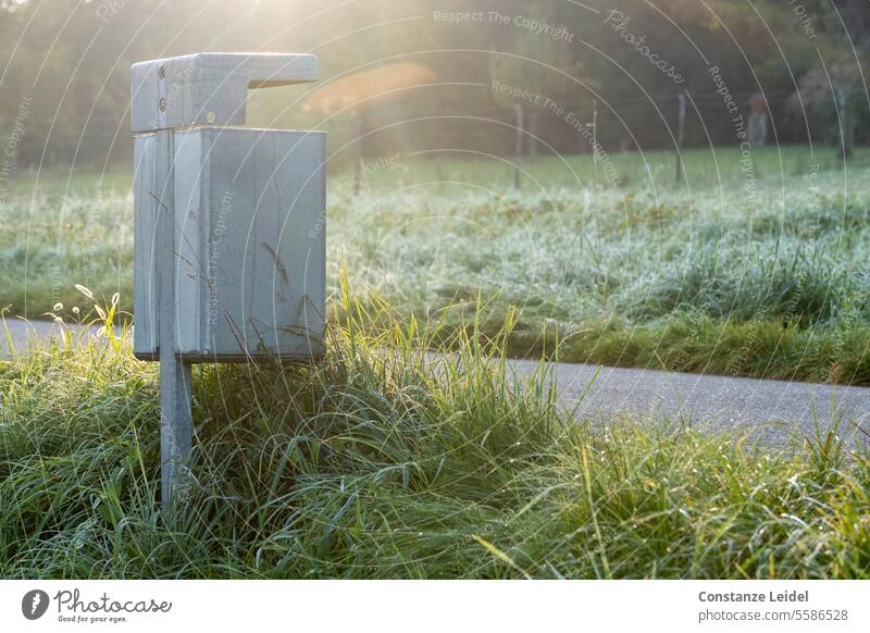 Mülleimer am Feldweg im Gegenlicht Gras Natur Landschaft grün Menschenleer Wiese Schönes Wetter Umwelt Morgensonne Morgensonnenlicht Sonnenlicht Licht Farbfoto