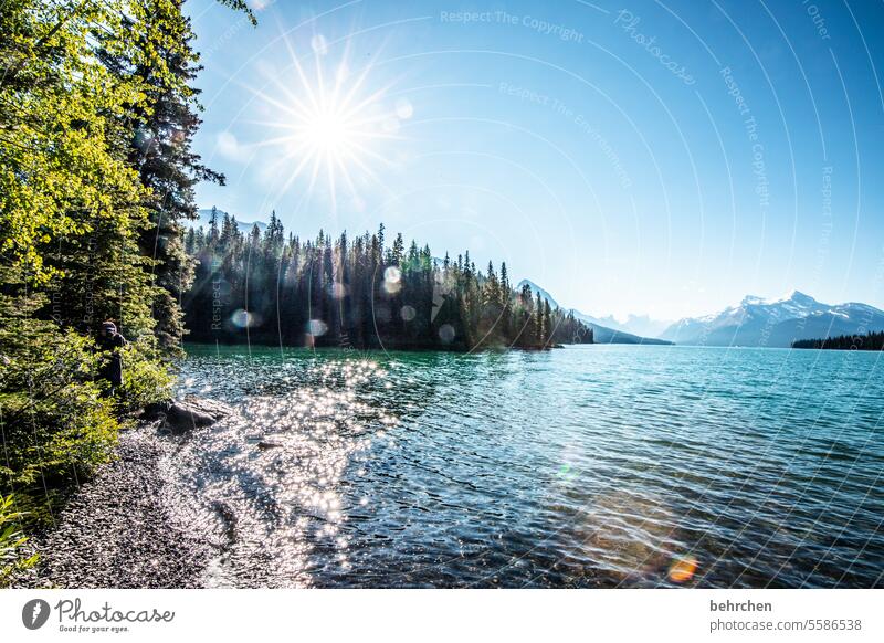 kanada Maligne Lake Rocky Mountains See Fernweh Ferien & Urlaub & Reisen Wald Ferne Kanada Abenteuer Natur Landschaft Nordamerika Himmel Alberta Wasser Seeufer