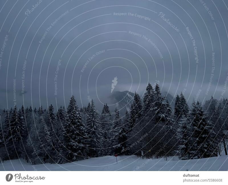 Winterliche Landschaft mit schneebedeckten Bäumen Berge Wald Natur Berge u. Gebirge Himmel Schnee Gipfel Alpen kalt Menschenleer Umwelt Frost klar Felsen Ruhe