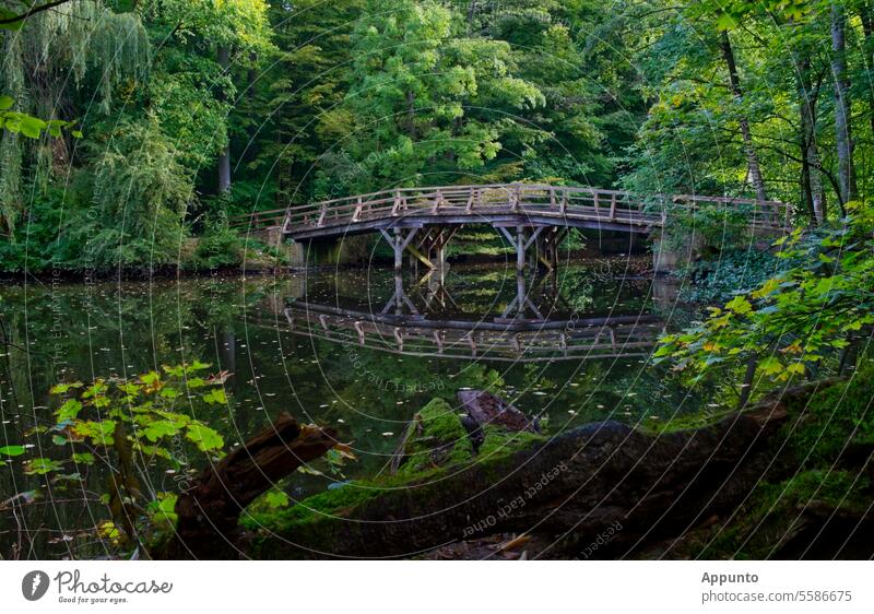 Holzbrücke über den Jacobiweiher in Frankfurt am Main Weiher Wasser Spiegelung Wasserspiegelung grün Holzkonstruktion Brücke Rhein-Main-Gebiet Ausflug Natur