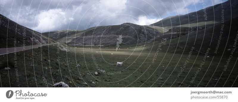 Freiheit Italien Abruzzen Panorama (Aussicht) Wiese Wolken Landschaft Himmel Ferne groß Panorama (Bildformat)