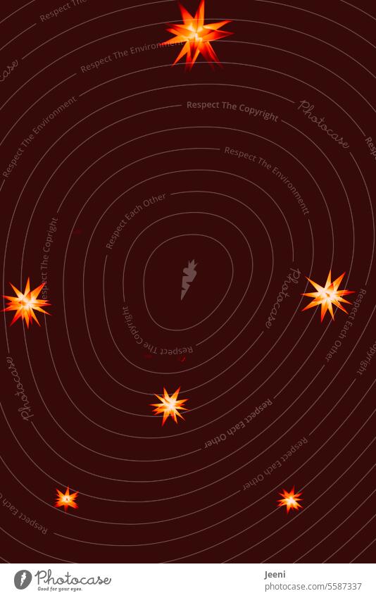 Weihnachten mit roten Sternen Dekoration & Verzierung Sternenhimmel Himmel Heiligabend Weihnachtsbeleuchtung Licht Weihnachtsstern festlich Weihnachtsstimmung