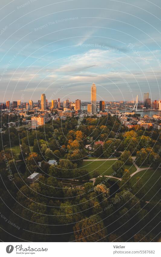 Sonnenuntergang über dem Stadtzentrum von Rotterdam und dem umliegenden Park. Sonnenuntergang in einer der modernsten Städte der Niederlande Dämmerung Nacht