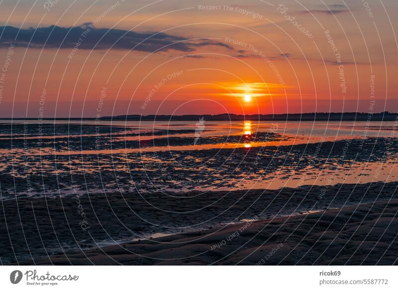 Sonnenaufgang im Wattenmeer auf der Insel Amrum Priel Norddorf Schleswig-Holstein Küste Schlick Sand Nordfriesische Insel Nordsee Nordseeküste Nordseeinsel