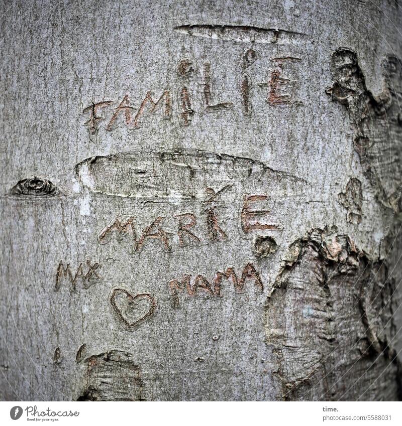 BaumTattoo Botschaft Namen Buchstaben Text Schrift Schriftzeichen Familie gemeinsam Marie Max Mama Narrenhände Baumstamm Rinde Naumrinde Lebensspuren Herz