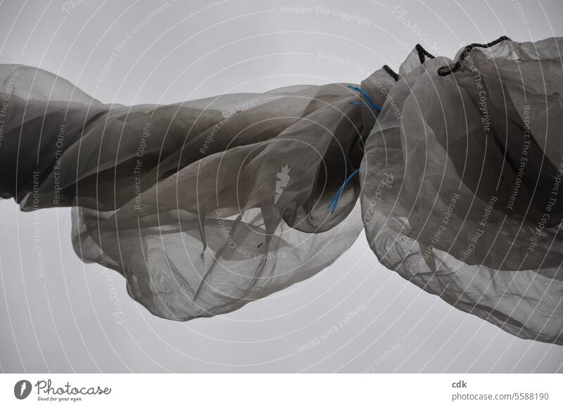Grauschleier im November | Netzwerk | Saisonende auf einer Plantage. netzartig Technik & Technologie Vernetzung Menschenleer Gewebe Stoff stoffartig