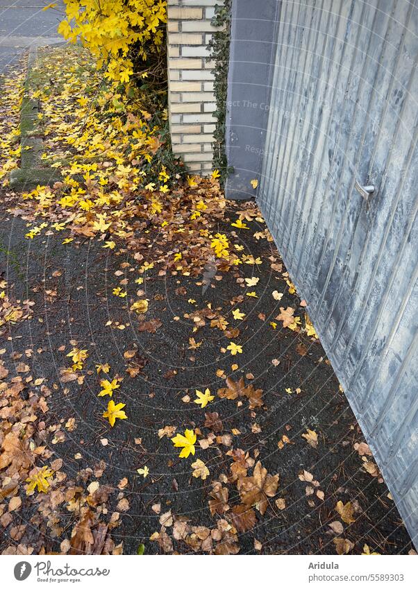 Herbstlaub am Garagenhof Laub Einfahrt Garagentor Blätter gelb Tor Ausfahrt geschlossen Gebäude trist grau Parkplatz Mauer parken Straße Verkehr Asphalt