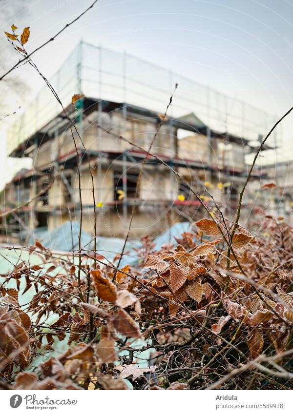 Baustelle im November Architektur Gebäude Haus Herbst Blätter Buchenhecke Hausbau Handwerk bauen Handwerker Neubau Einfamilienhaus Wohnungsbau Winter Beton