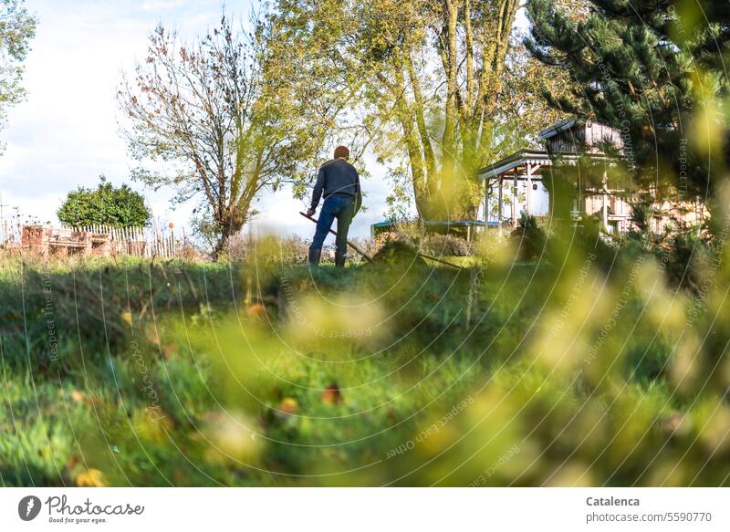 Sensen; ein Mann mit Sense im Garten. Natur Flora Wiese Gras Bäume herbst arbeiten Himmel Staketenzaun Gartenhaus Tag Tageslicht Person Grün Blau wachsen