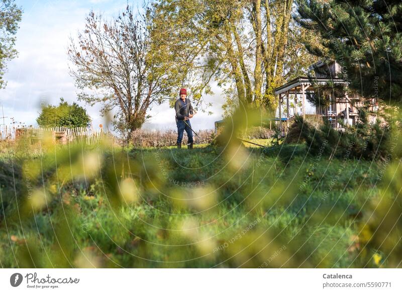 Sensen; ein Mann mit Sense im Garten. Natur Flora Wiese Gras Bäume herbst arbeiten Himmel Staketenzaun Gartenhaus Tag Tageslicht Person Grün Blau wachsen