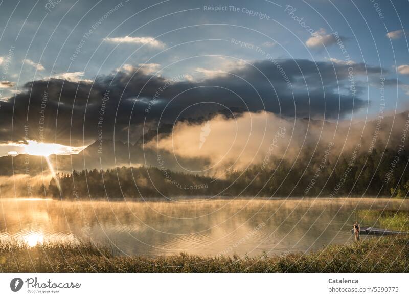 Schwimmen am frühen Morgen im Bergsee Natur Landschaft See Berge Alpen Berge u. Gebirge Himmel Wasser Seeufer Umwelt Idylle Erholung ruhig Nebel Binsen Schilf