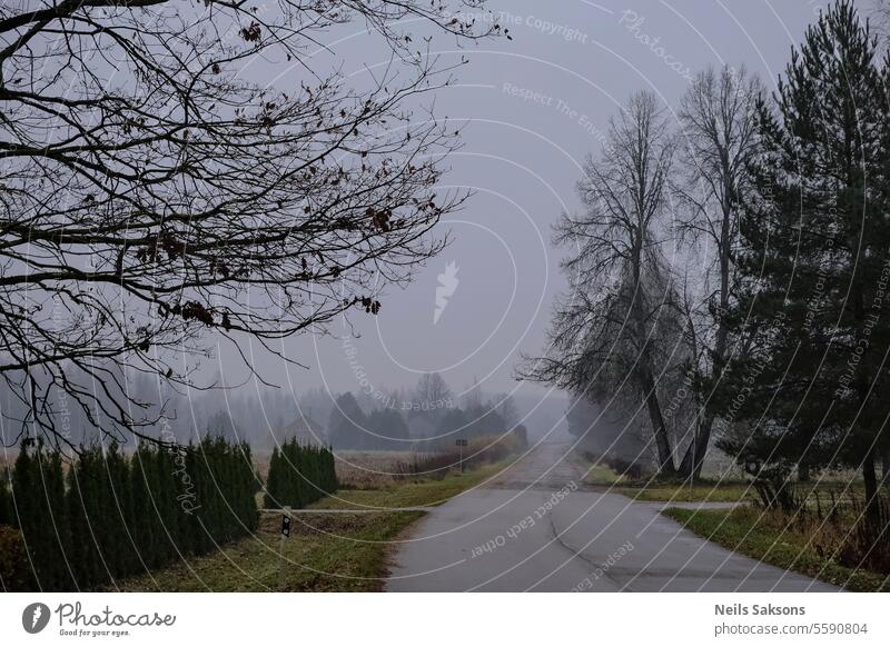 eine weitere düstere Landstraße am nebligen Morgen. Langweilige lettische Landschaft im Spätherbst. Lettland Straße Asphalt gerade trist dunkel Himmel Wald