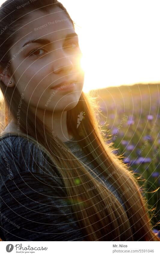 wärmendes | abendsonne Sonnenuntergang Sommer Natur Umwelt Glück Sommerabend Sonnenstrahlen Sonnenlicht Wärme Warmes Licht Abendsonne Sommertag Feld Blumenwiese