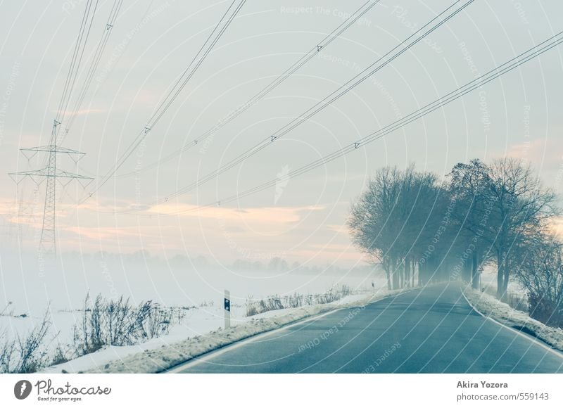 icy road Energiewirtschaft Natur Landschaft Winter Wetter Nebel Eis Frost Schnee Baum Sträucher Feld Verkehrswege Straße Wege & Pfade fahren