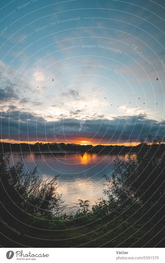 Atemberaubender Sonnenuntergang am Gavermeer-See in der Nähe von Kortrijk, Südbelgien. Rotes Leuchten auf der Seeoberfläche und einheimische Vögel gavermeer