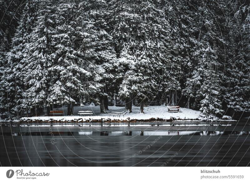 Teilweise zugefrorener See mit Blick auf eine kleine Halbinsel Winter Frost Schnee kalt Eis Natur Wasser weiß Seeufer Landschaft Wetter frieren Umwelt