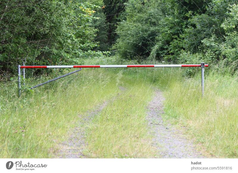 Schlagbaum Barriere Kontrolle Verbot stoppen Limit Wald Natur Schutz Naturlandschaft