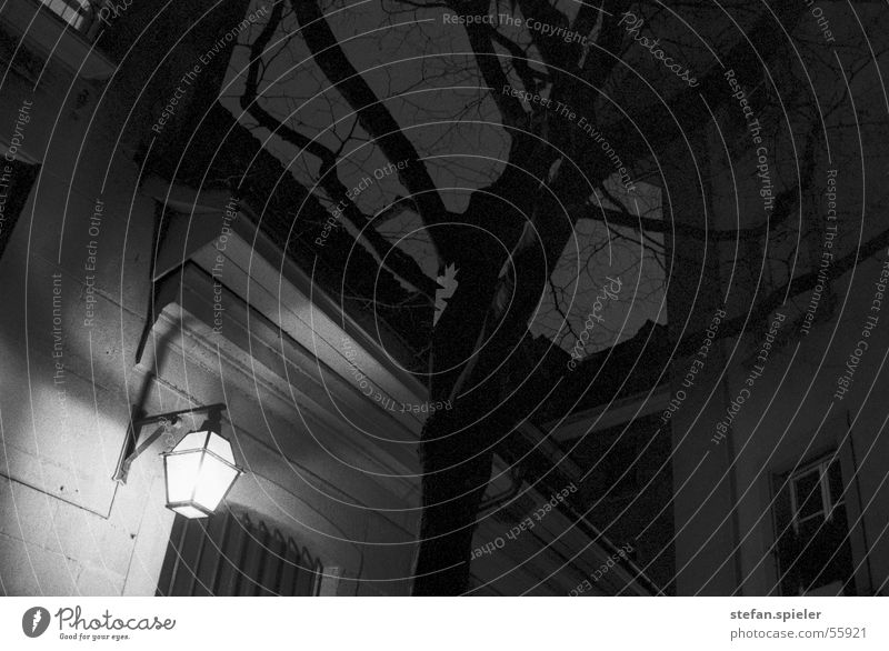 Hinterhof Nacht Laterne Lampe Baum Stadt Haus Licht dunkel schwarz weiß Gasse Straßenbeleuchtung Langzeitbelichtung gefährlich Nachtaufnahme Dach Gebäude unten